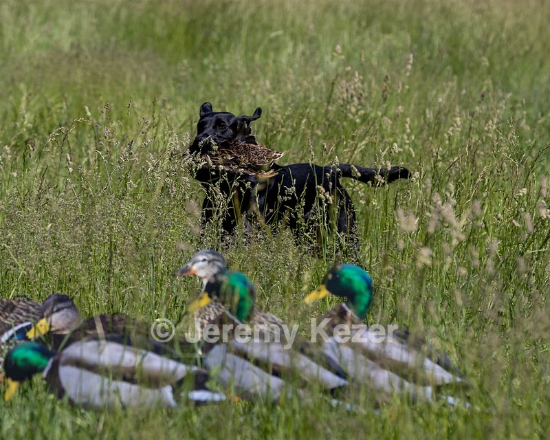 20210606-SEAL-1554.jpg