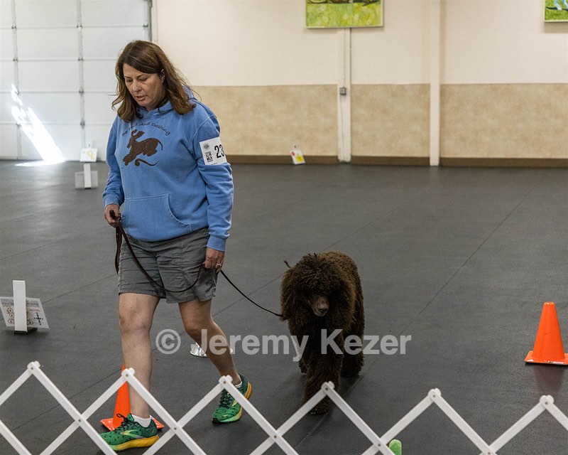 2304 - GCH CH BREKKON'S FIRST MARK BN RN CGC TKN (Hunny)