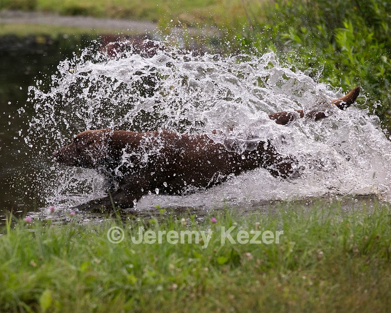 20130713-MHB2-0341.jpg