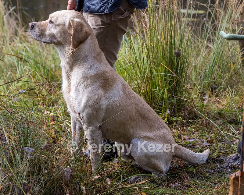 Kane Van Seventer