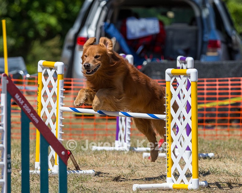 20160619-CCKC-1373.jpg