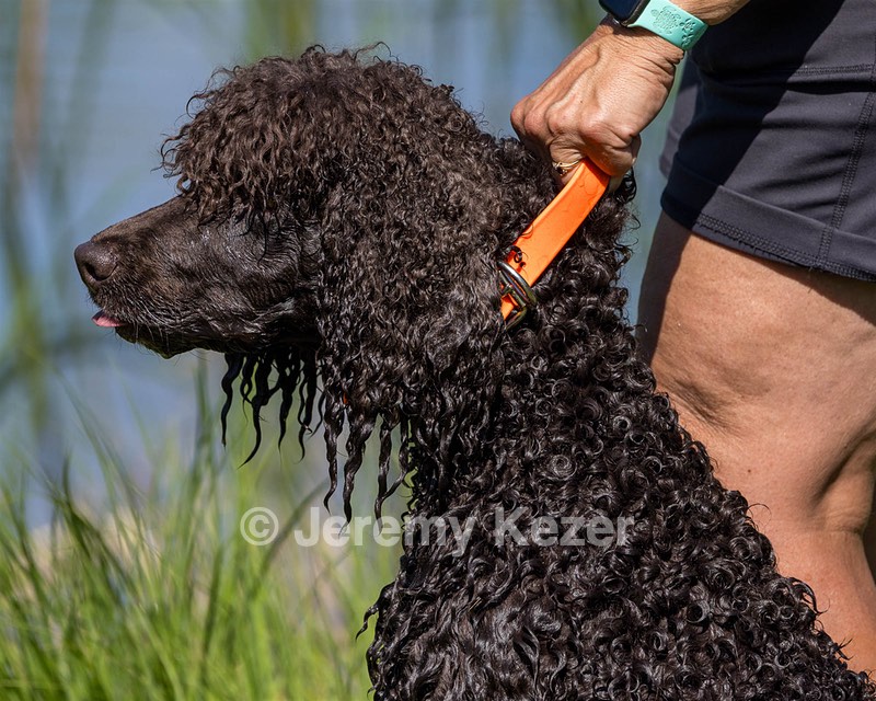 Ghillie Kezer