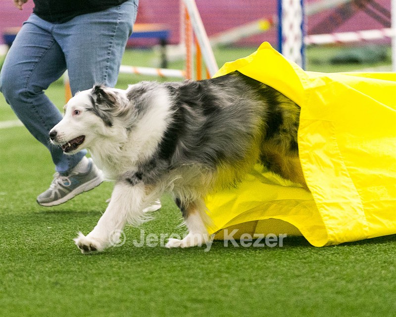 20150322-LEAP-0354.jpg