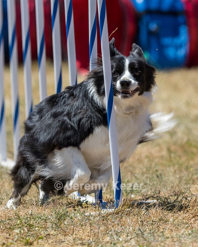 20160618-CCKC-1700.jpg