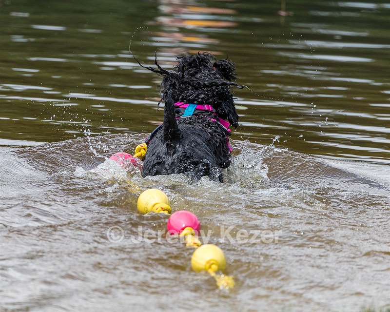 "Mistral" & Tobi-Ann