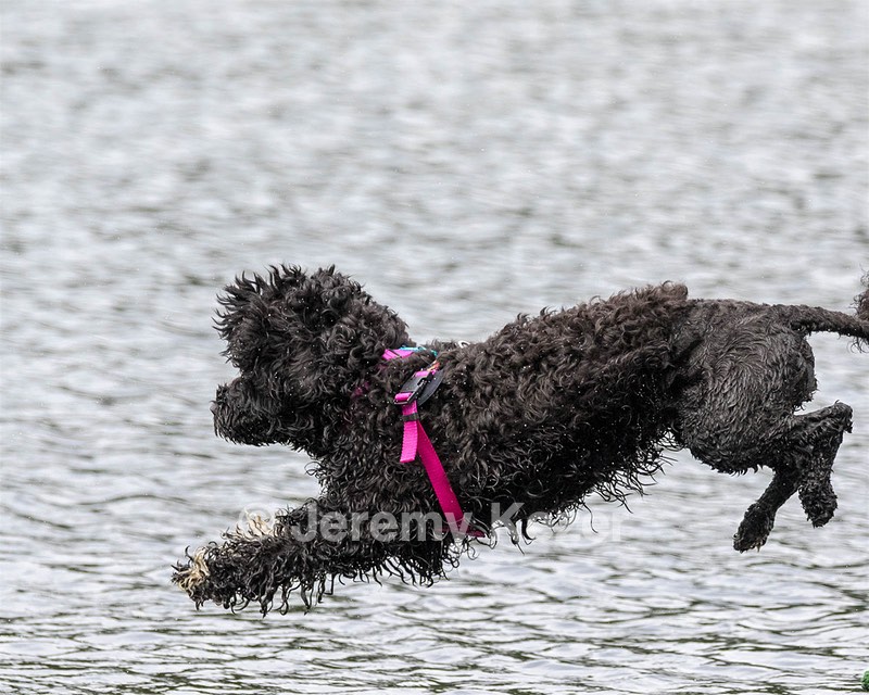 "Mistral" & Tobi-Ann