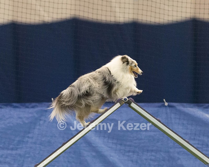 20150321-LEAP-1526.jpg