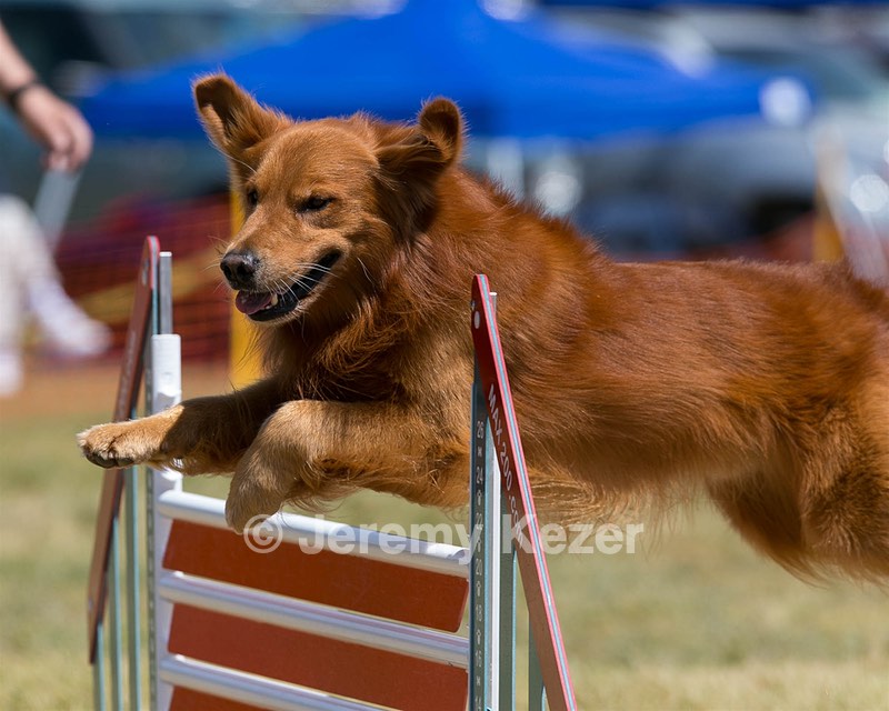 20150613-CCKC-0088.jpg