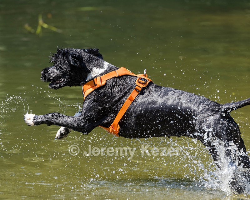Liza Brogan