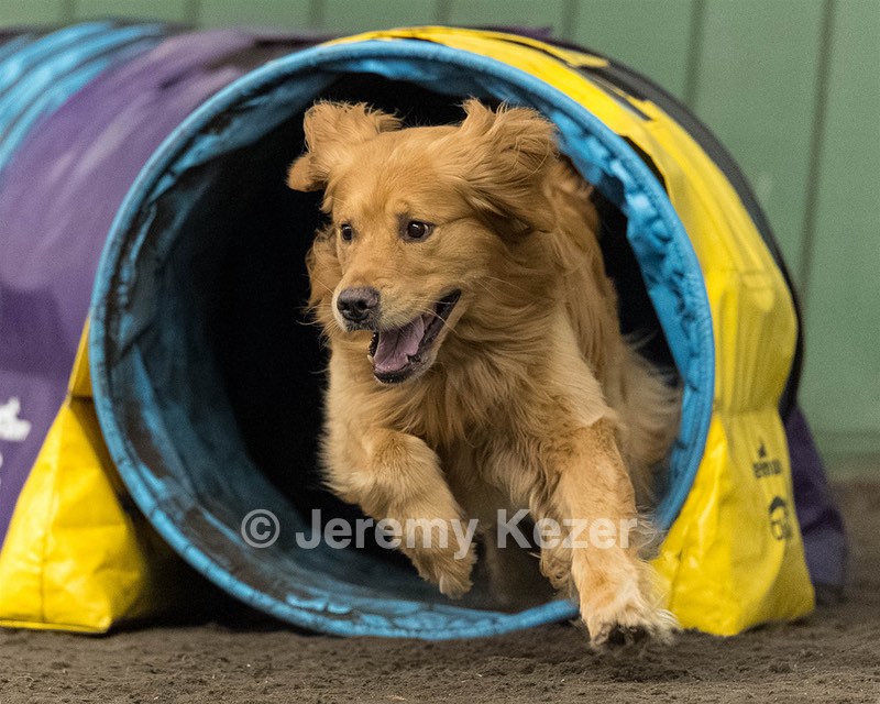 Pup-Pup Beaulieu