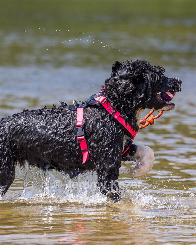Emily Ash