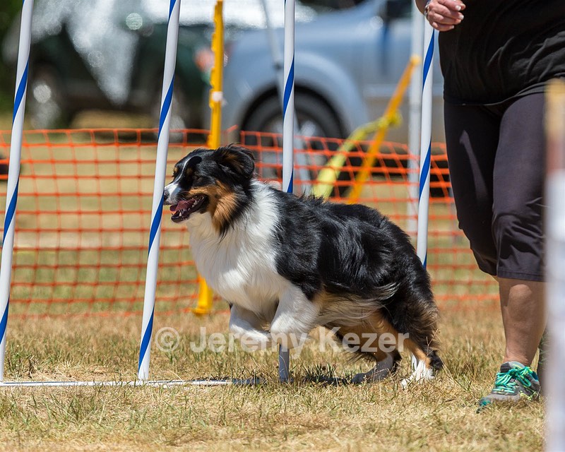 20160619-CCKC-1014.jpg
