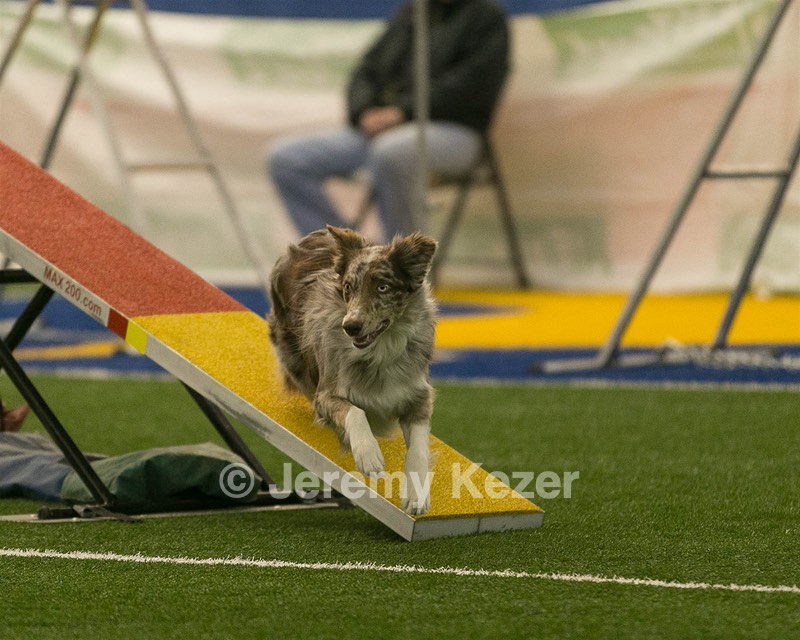 20150321-LEAP-0796.jpg