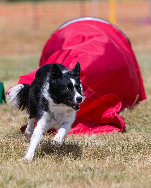 20150613-CCKC-0201.jpg