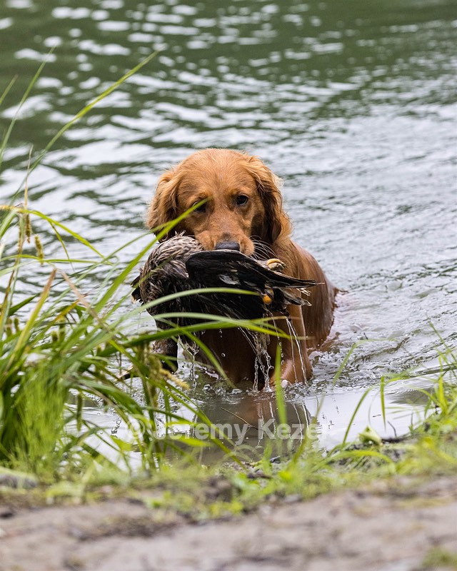 Keeva Connors
