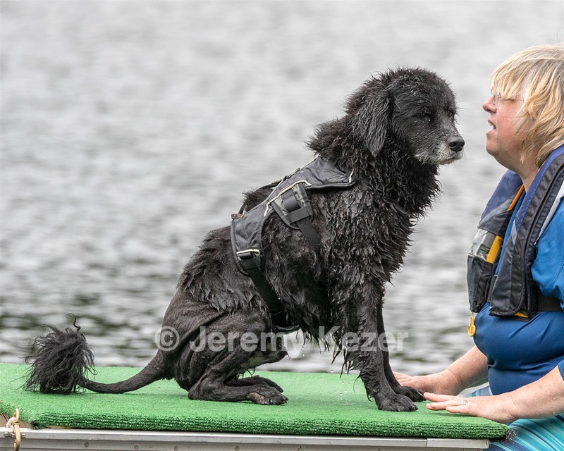 "Darwin" & Kari