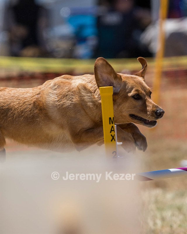 20160618-CCKC-1495.jpg