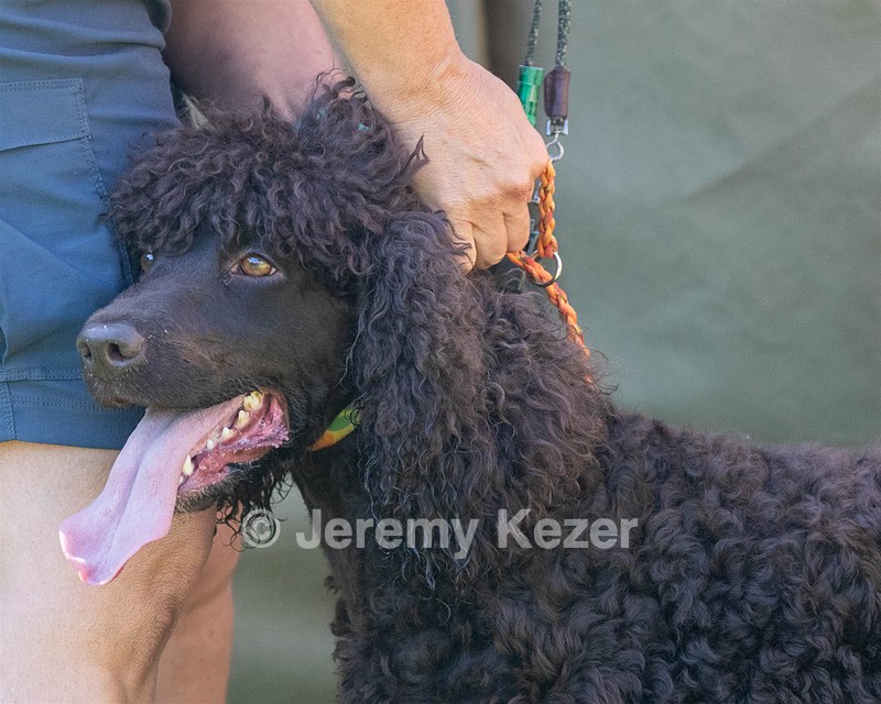 Ghillie Kezer