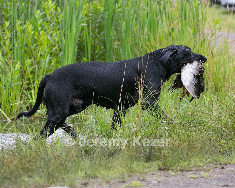 20130713-MHB2-0080.jpg