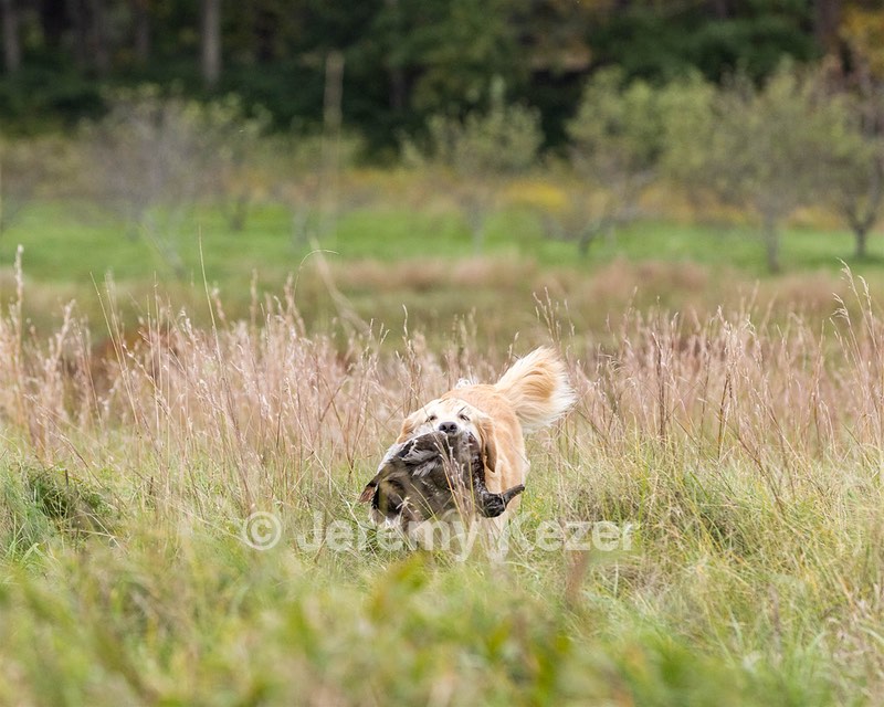 20211009-WCL-0016.jpg