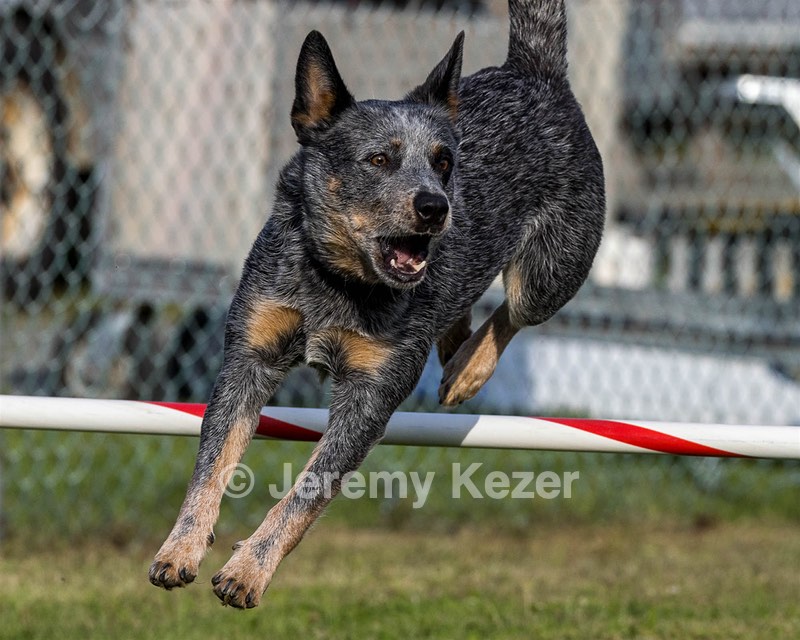 Bree Spetla