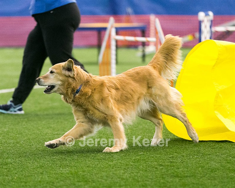 20150322-LEAP-0605.jpg