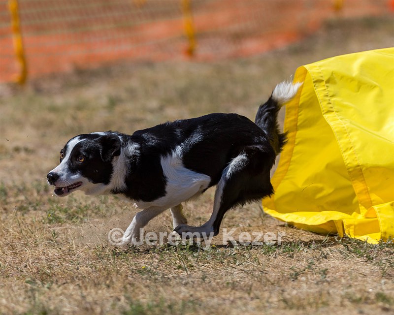 20160619-CCKC-1689.jpg