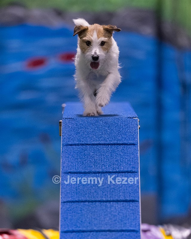 Teddy Caruso