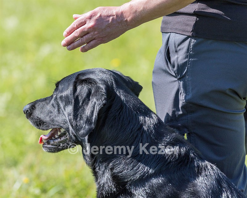 Ryder Smith