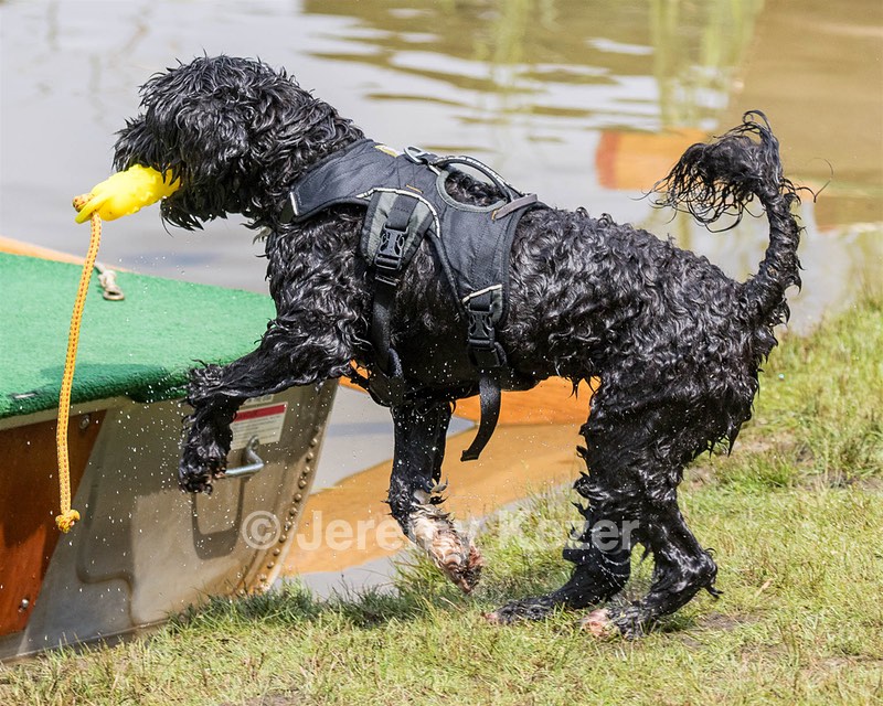 "Blaze" & Tim