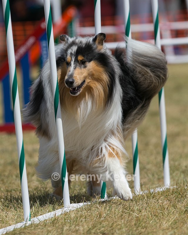 20150614-CCKC-1714.jpg