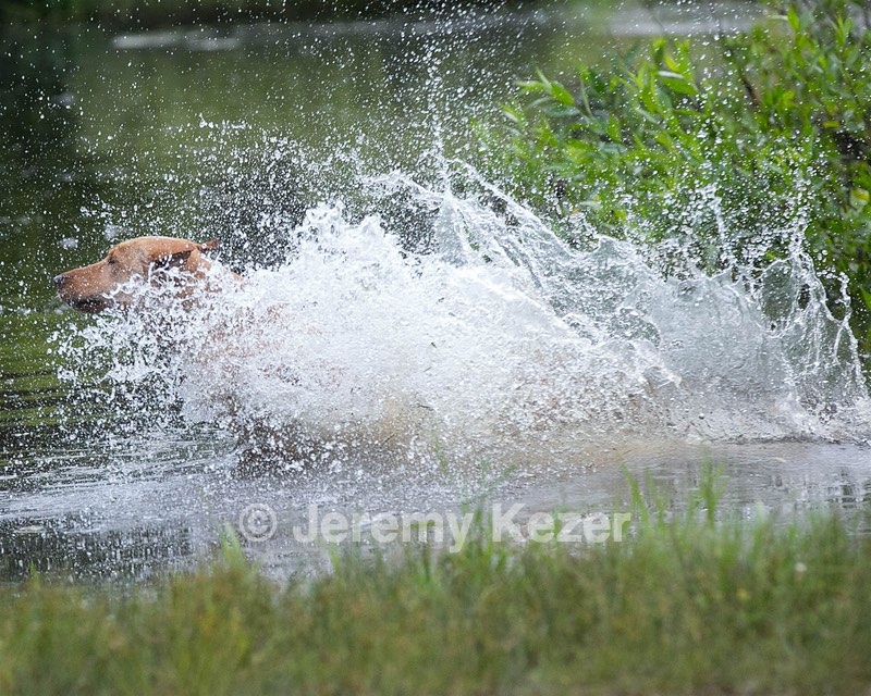 20130713-MHB2-0327.jpg