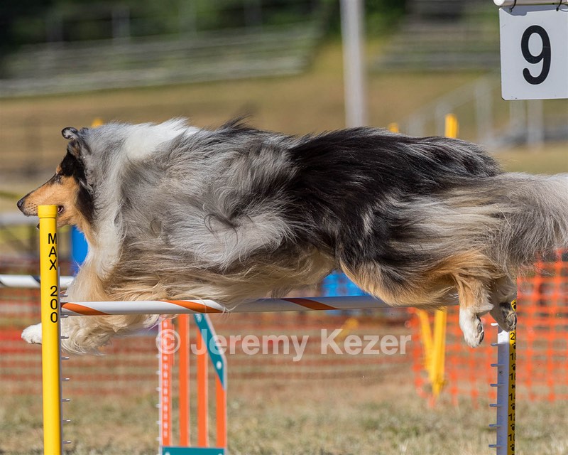 20160618-CCKC-2399.jpg