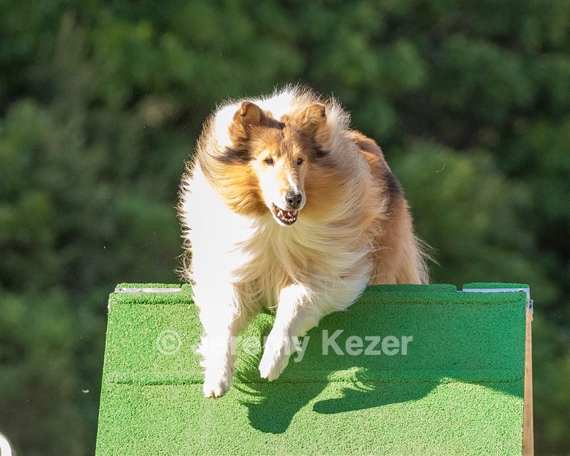 20160618-CCKC-2430.jpg