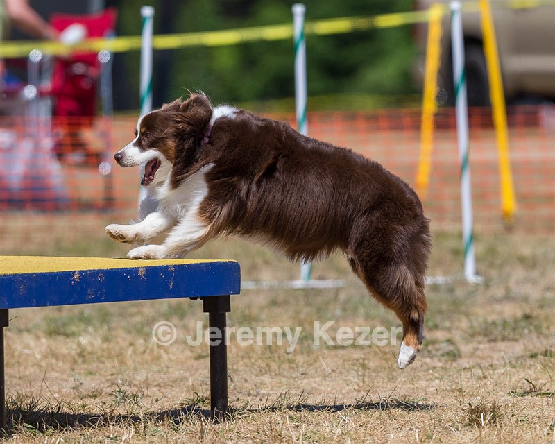 20160619-CCKC-1283.jpg