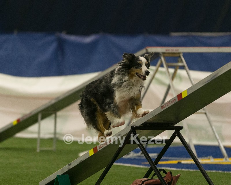 20150321-LEAP-1443.jpg