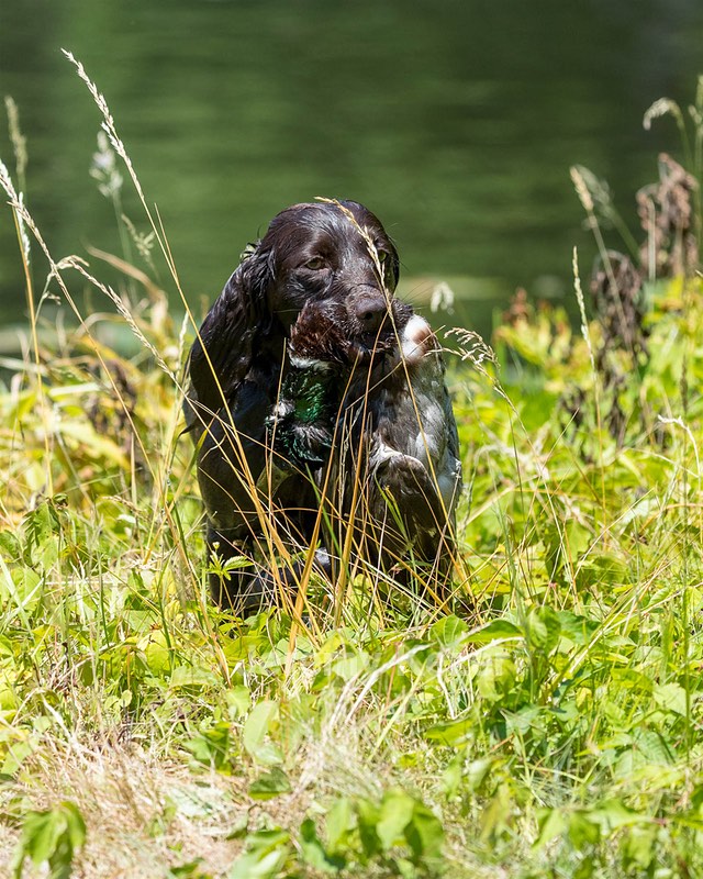 20210606-SEAW-0745.jpg