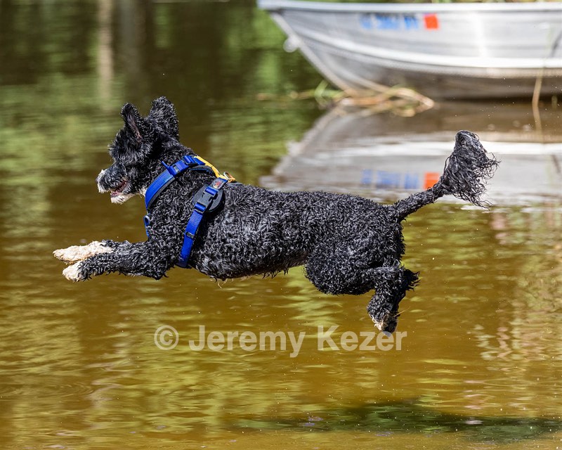 Windy May