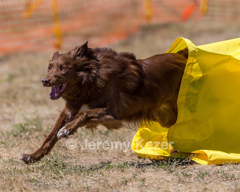 20160619-CCKC-1331.jpg