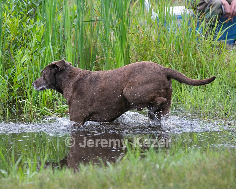 20130713-MHB2-0082.jpg