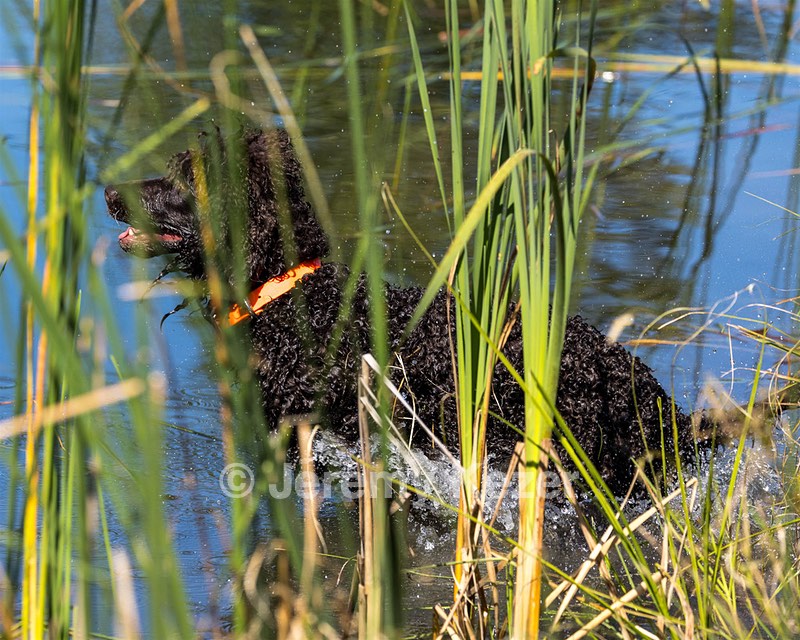 Ghillie Kezer