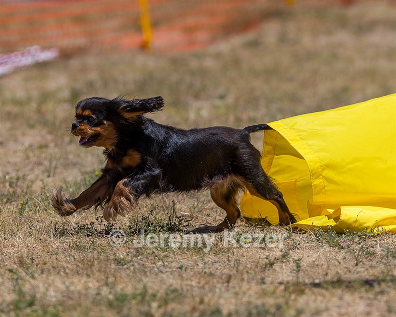20160619-CCKC-0899.jpg