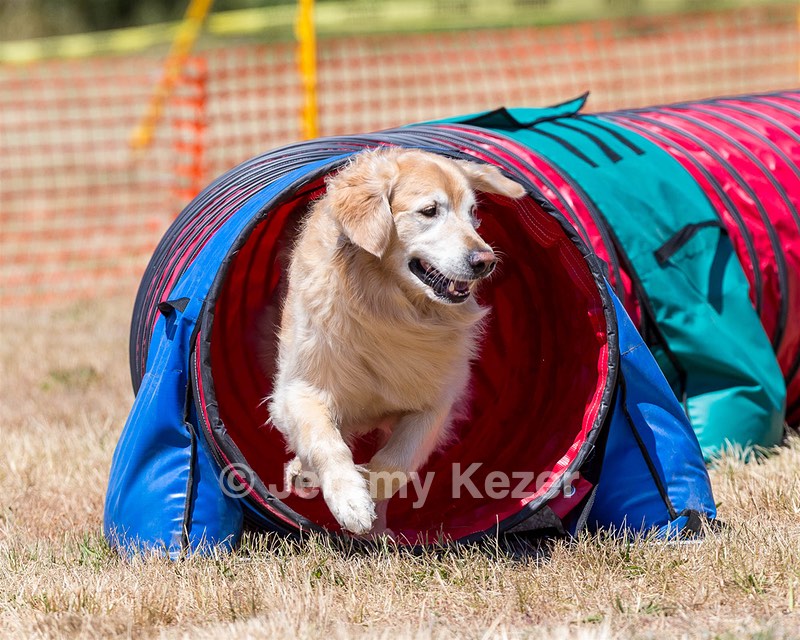 Odie Seney