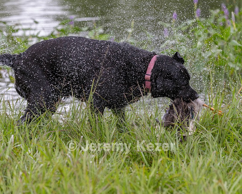 Clotilde Abbott