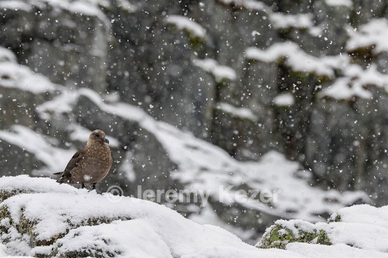 20260321-0181.jpg