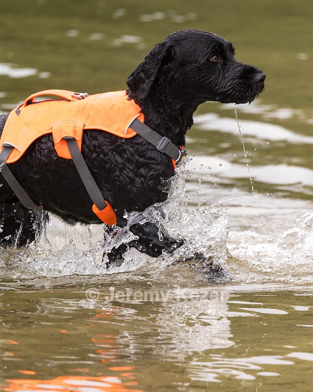 Forge Kennedy