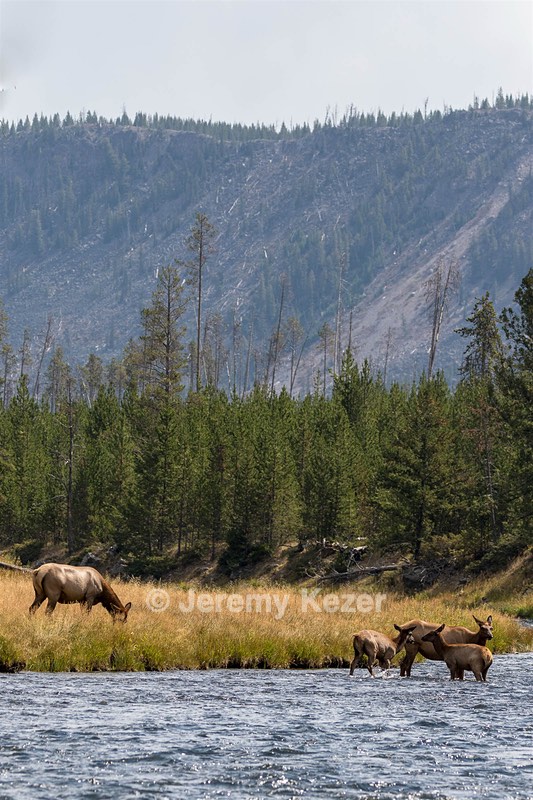 Yellowstone National Park