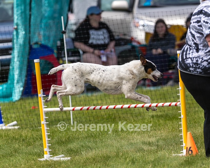 Ryder Baier