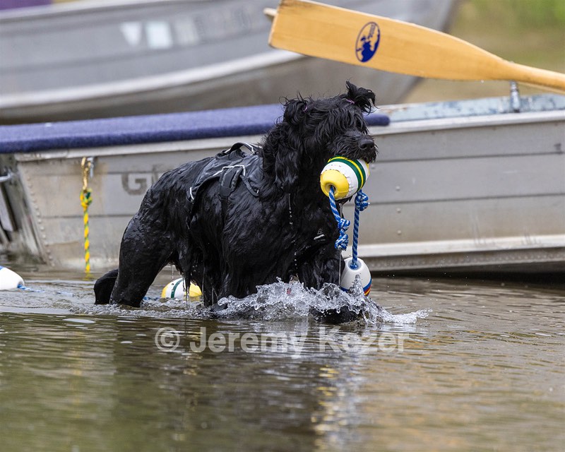 Wanda Lavalli