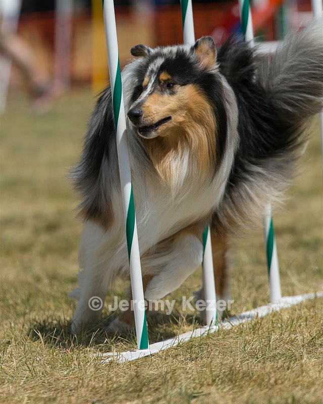 20150614-CCKC-1716.jpg
